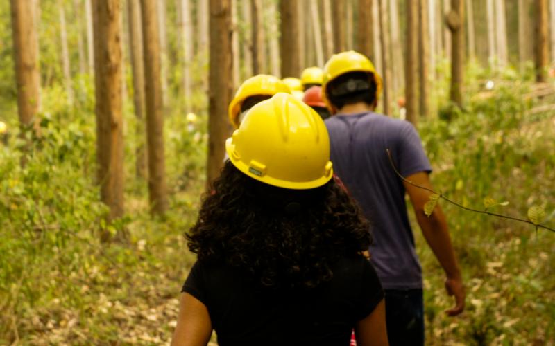 O curso de Engenharia Florestal da UFRPE atinge nota 4 no ENADE!